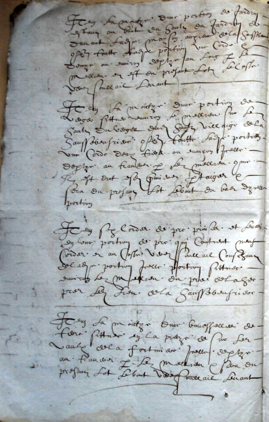 Cohon-F_1619 (6).JPG